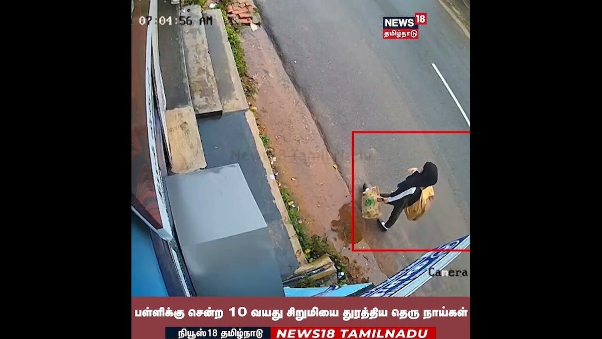 Stray Dogs | பள்ளிக்கு சென்ற சிறுமியை துரத்திய தெரு நாய்கள்! | N18S | தமிழ்நாடு - News18 தமிழ்