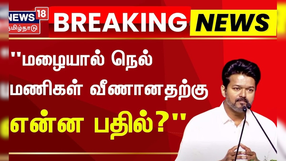 TVK Vijay vs MK Stalin |