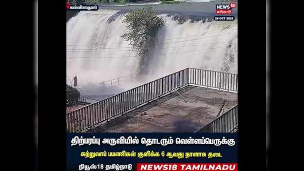 Kanyakumari | திற்பரப்பு அருவியில் தொடரும் வெள்ளப்பெருக்கு | Thiruparappu Falls | N18S | தமிழ்நாடு - News18 தமிழ்