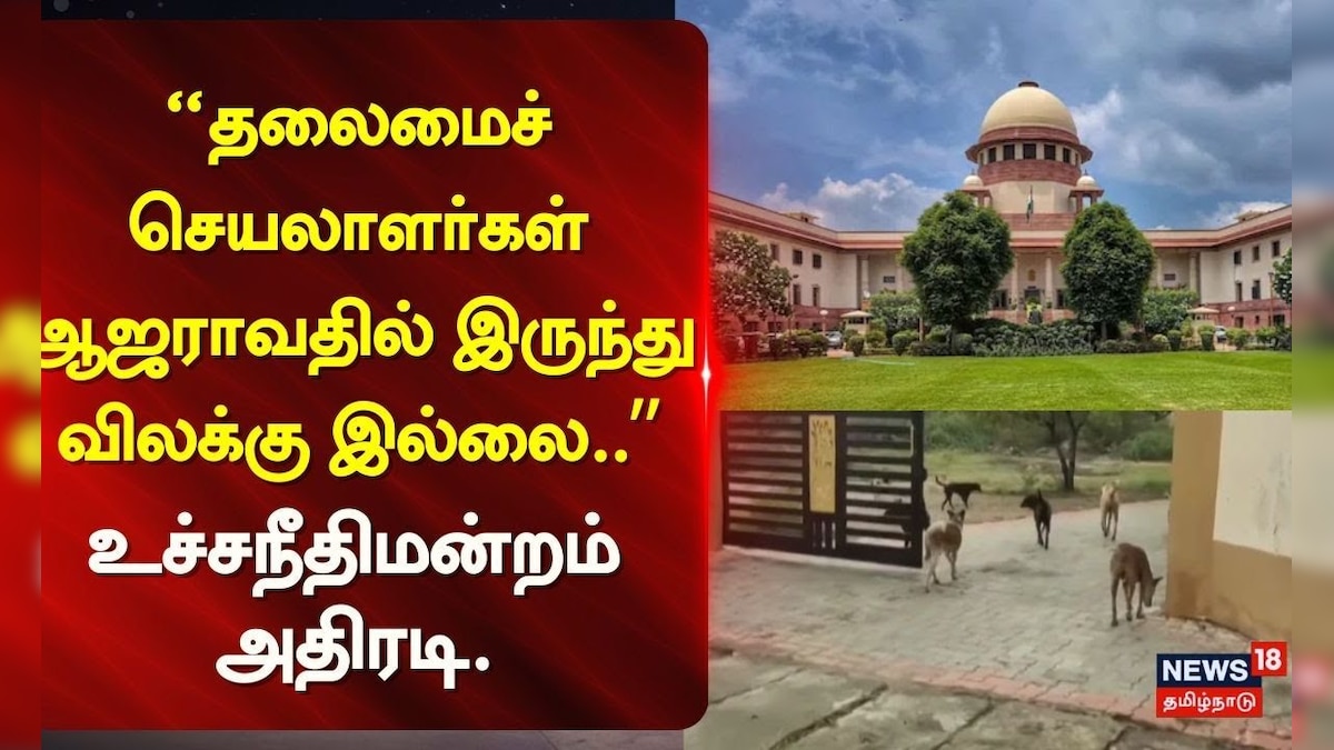 தலைமைச்செயலாளர்கள் ஆஜராவதில் இருந்து விலக்கு இல்லை  - உச்சநீதிமன்றம் அதிரடி. | தமிழ்நாடு - News18 தமிழ்