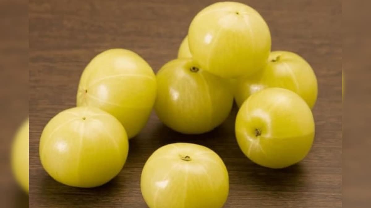 நீரிழிவு முதல் இதய ஆரோக்கியம் வரை.. தினம் ஒரு நெல்லிக்காய் சாப்பிட்டால் பல நோய்களுக்கு பலன்.! | லைஃப்ஸ்டைல் - News18 தமிழ்