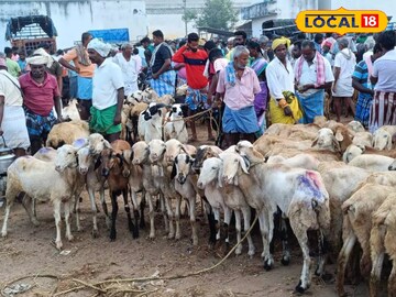 தீபாவளி பண்டிகை முன்னிட்டு தெடாவூர் ஆட்டுச் சந்தையில் விற்பனை அமோகம்.