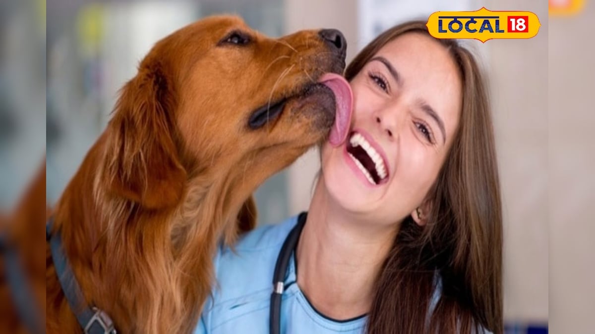 24 ம் தேதி முதல் ₹5,000 ரூபாய் அபராதம்... சென்னை மாநகராட்சி