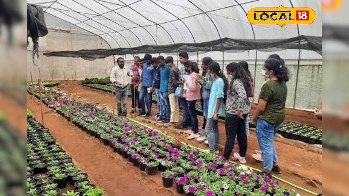 தோட்டக்கலை பட்டயப் படிப்பு!! காலி இடங்களை நிரப்ப மாணவர் சேர்க்கை தொடக்கம்... | புதுக்கோட்டை - News18 தமிழ்