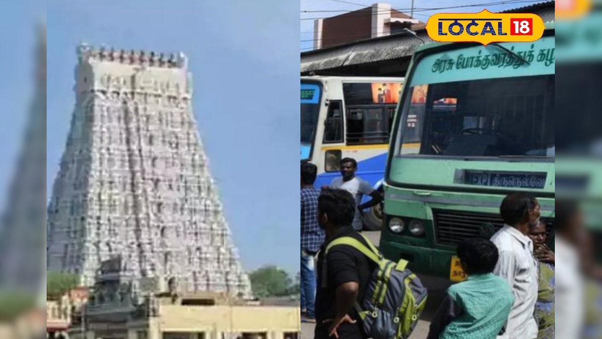 கந்த சஷ்டி விழா... திருச்செந்தூர் முருகனை காண பேருந்தில் முன்பதிவு செய்வது எப்படி தெரியுமா ? | தமிழ்நாடு - News18 தமிழ்
