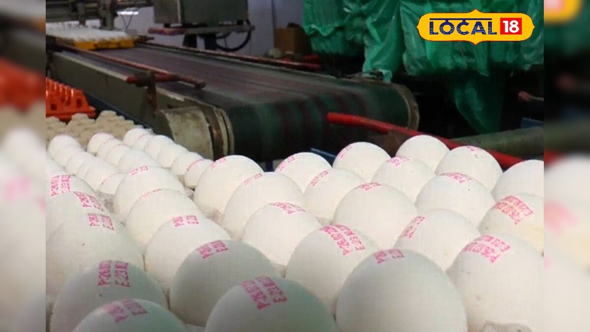 முட்டை விலை 5 காசுகள் உயர்வு... நாமக்கல்லில் இன்றைய நிலவரம் என்ன தெரியுமா..? | நாமக்கல் - News18 தமிழ்