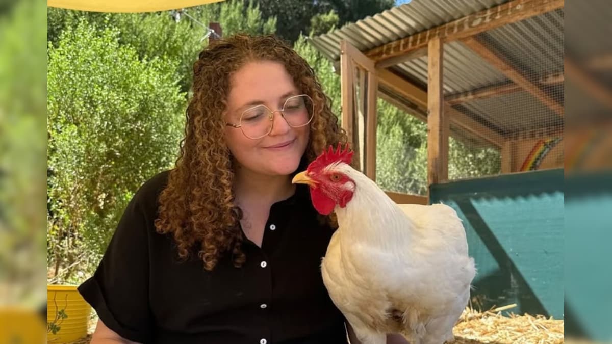 கோழிகள் மீது கொண்ட அன்பால் சிறை தண்டனை பெறும் நிலைக்கு தள்ளப்பட்ட மாணவி! | உலகம் - News18 தமிழ்