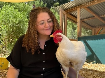 கோழி திருடிய வழக்கு