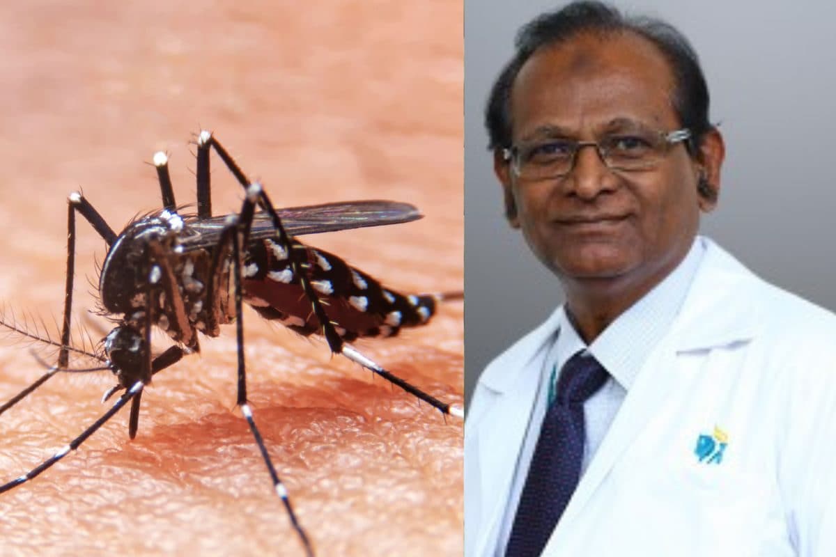 அதிகரிக்கும் டெங்கு.. எப்படி தடுப்பது..? மருத்துவர் விளக்கம்..!