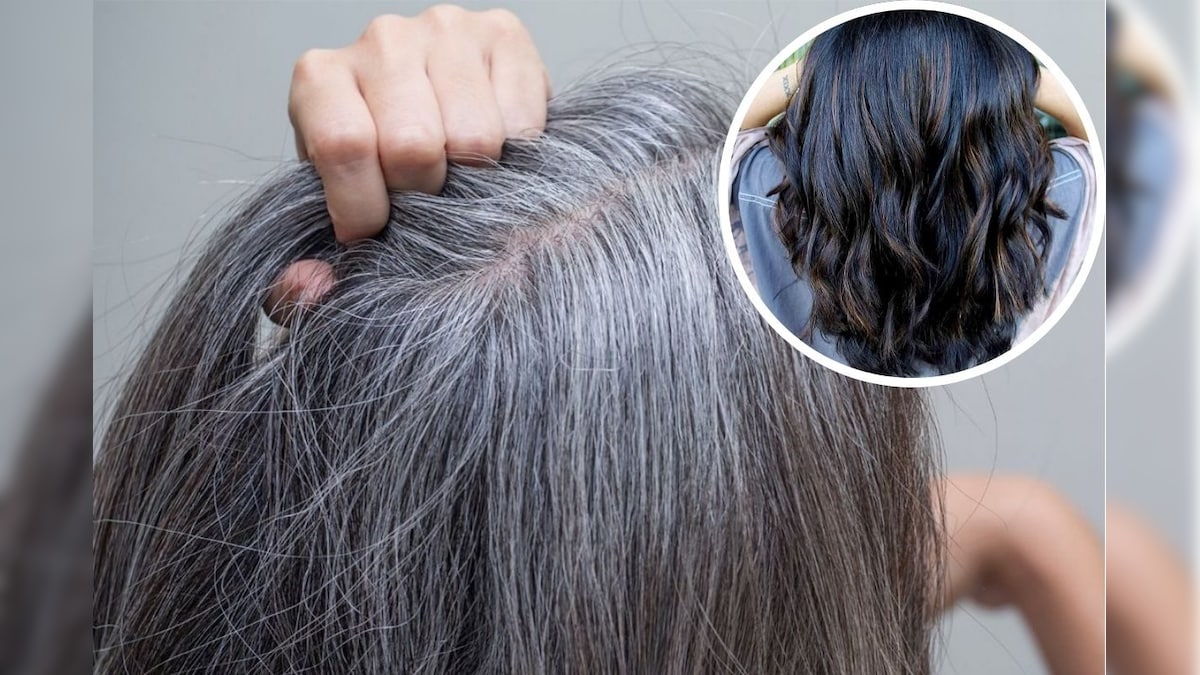 டை இல்லாமலே இளநரையை ஈஸியா மறைக்கலாம்.. இந்த 5 டிப்ஸ் ட்ரை பண்ணி பாருங்க! | லைஃப்ஸ்டைல் - News18 தமிழ்