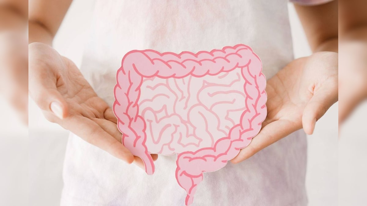 இந்த காலை பழக்கங்களை பின்பற்றுங்க.. குடல் ஆரோக்கியம் பற்றி கவலையே வேண்டாம்.! | லைஃப்ஸ்டைல் - News18 தமிழ்