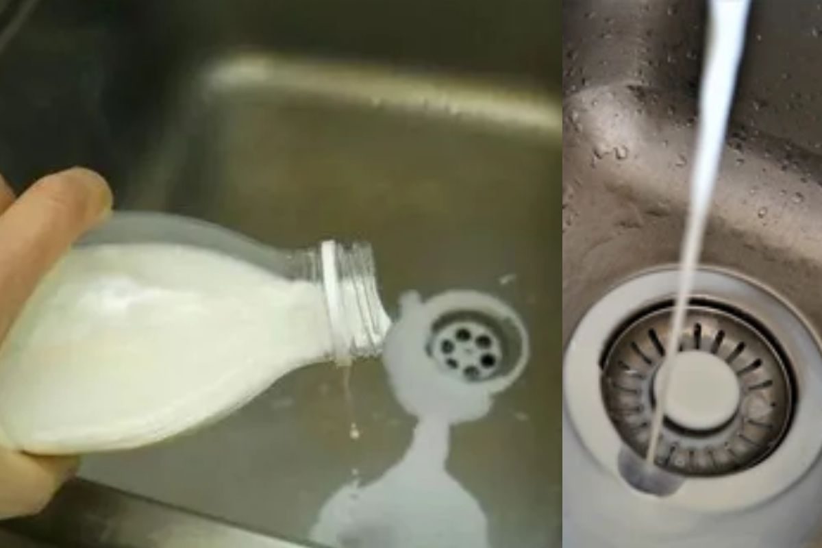 கெட்டுப்போன பாலை சிங்கில் ஊற்றுகிறீர்களா..? இனி அப்படி பண்ணாதீங்க..