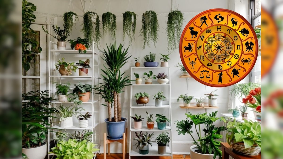 Astrology | ராசிக்கேற்ற அதிர்ஷ்ட செடிகள்.. உங்க ராசிக்கு என்ன செடி என்று தெரிஞ்சுக்கோங்க! | ஆன்மிகம் - News18 தமிழ்