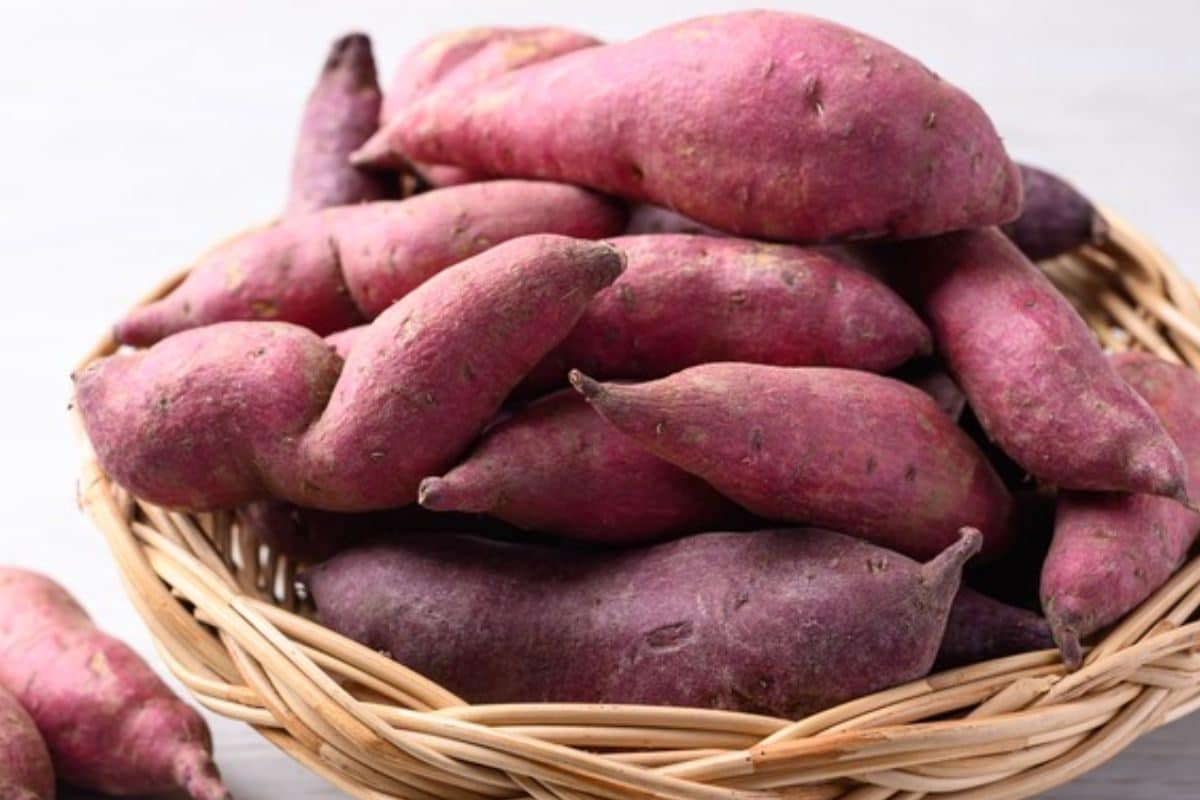 தினமும் சர்க்கரைவள்ளி கிழங்கு சாப்பிட்டால் இத்தனை நன்மைகளா..?