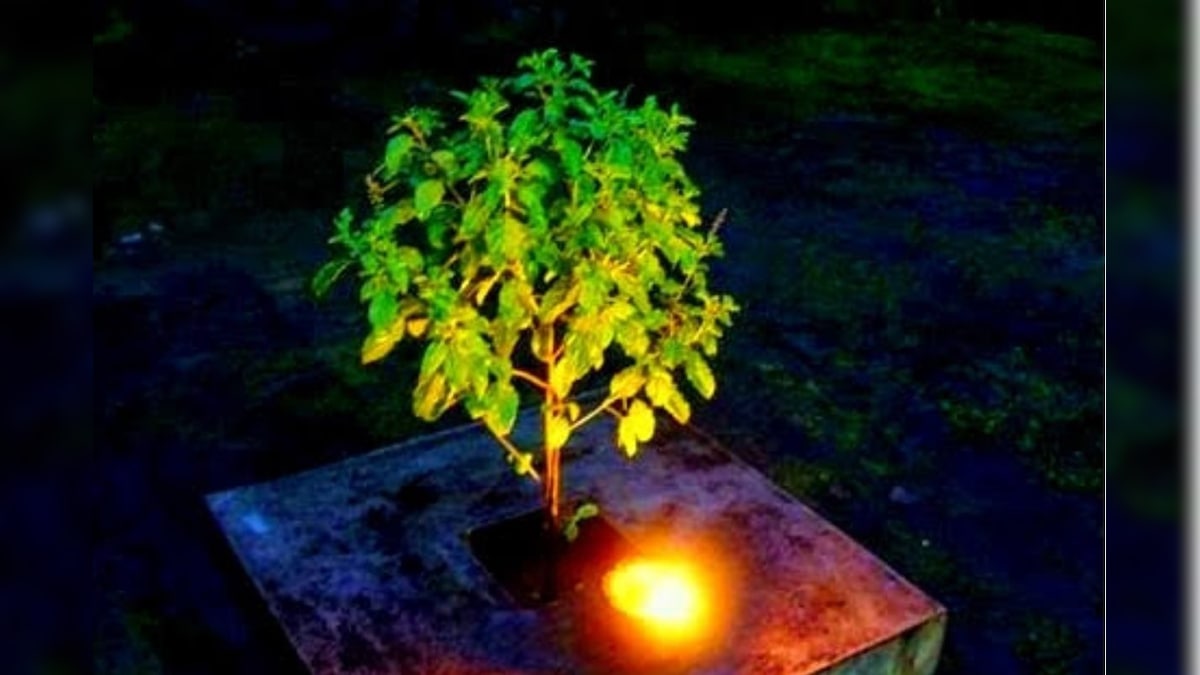 துளசி அருகே ஏற்றும் விளக்கு அணைந்து விட்டதா...? இதுதான் காரணமாம்! | ஆன்மிகம் - News18 தமிழ்