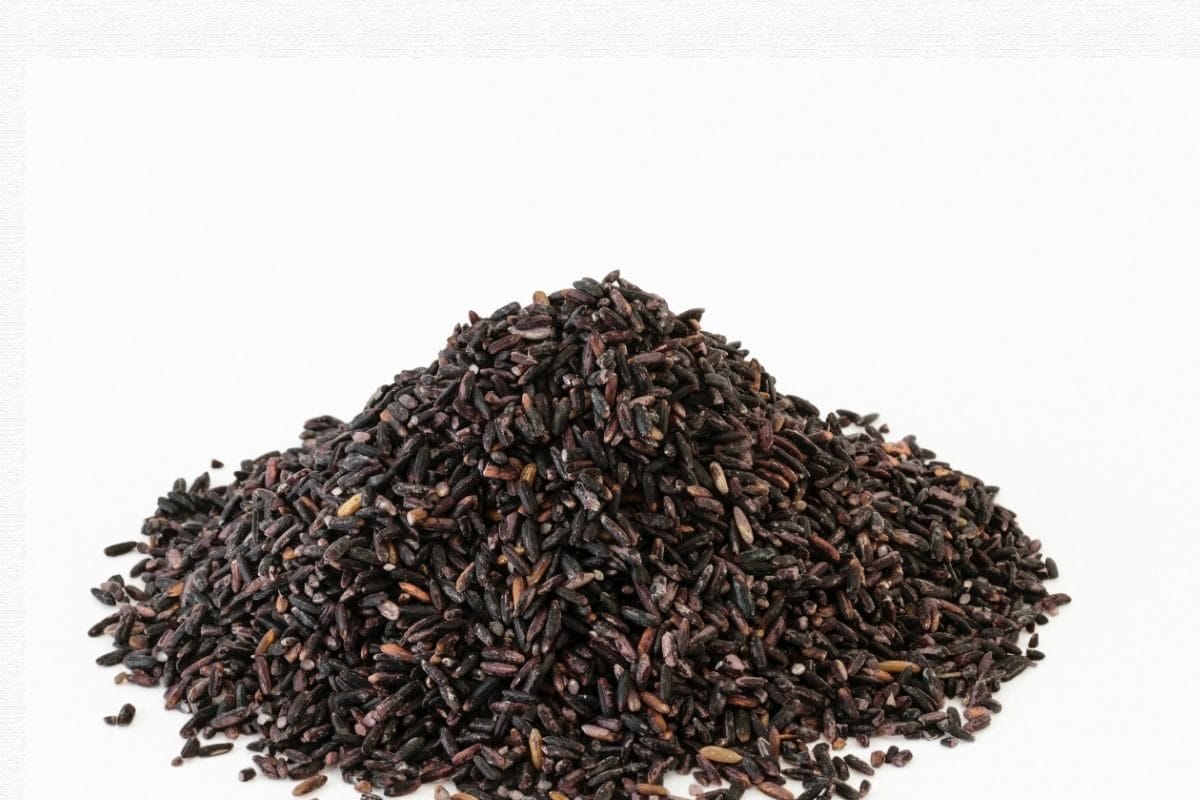 Black Rice | புற்றுநோயை தடுக்க உதவும் கருப்பு கவுனி அரிசி!