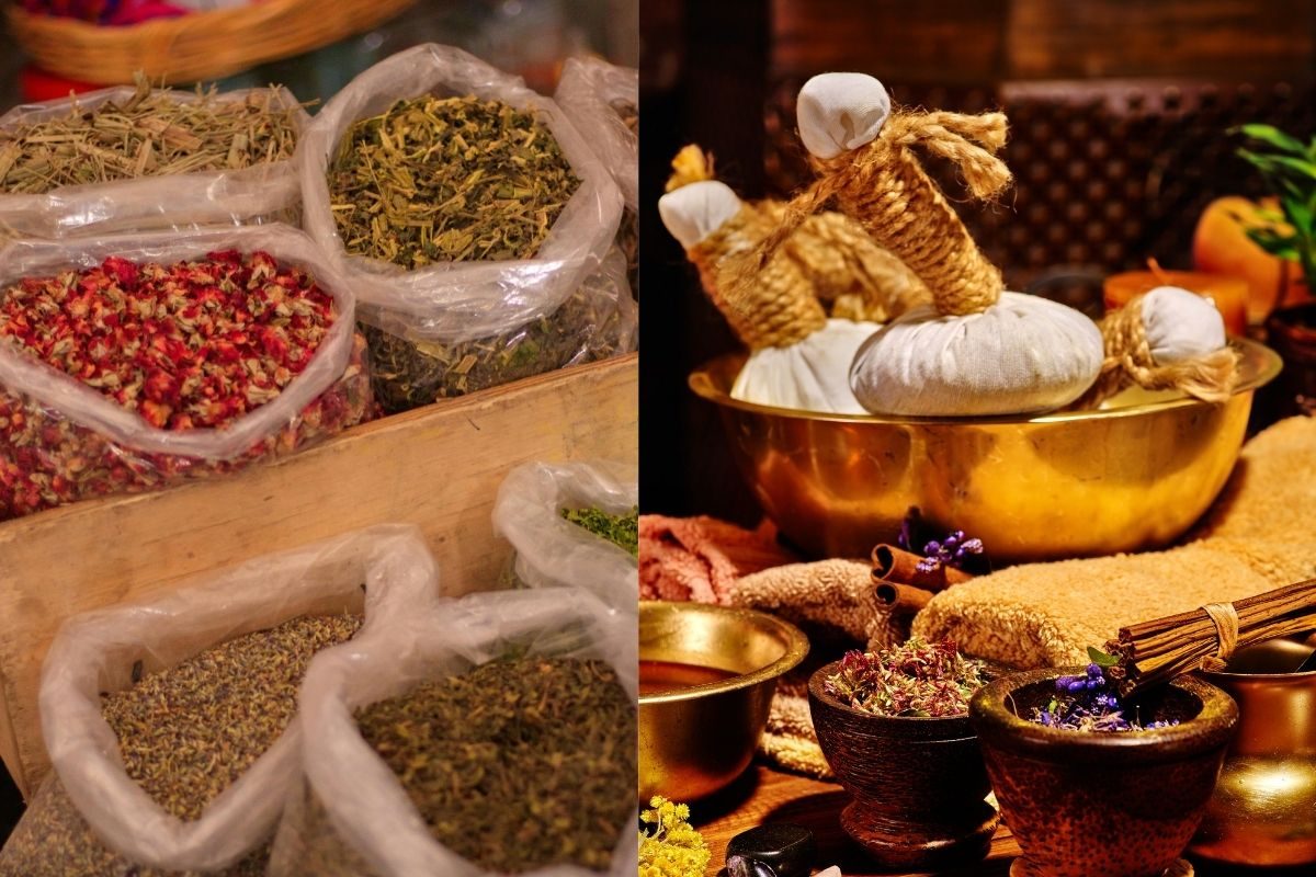 பருவகால மாற்றங்களிலிருந்து உடலை காக்க உதவும் 10 ஆயுர்வேத மூலிகைகள்!