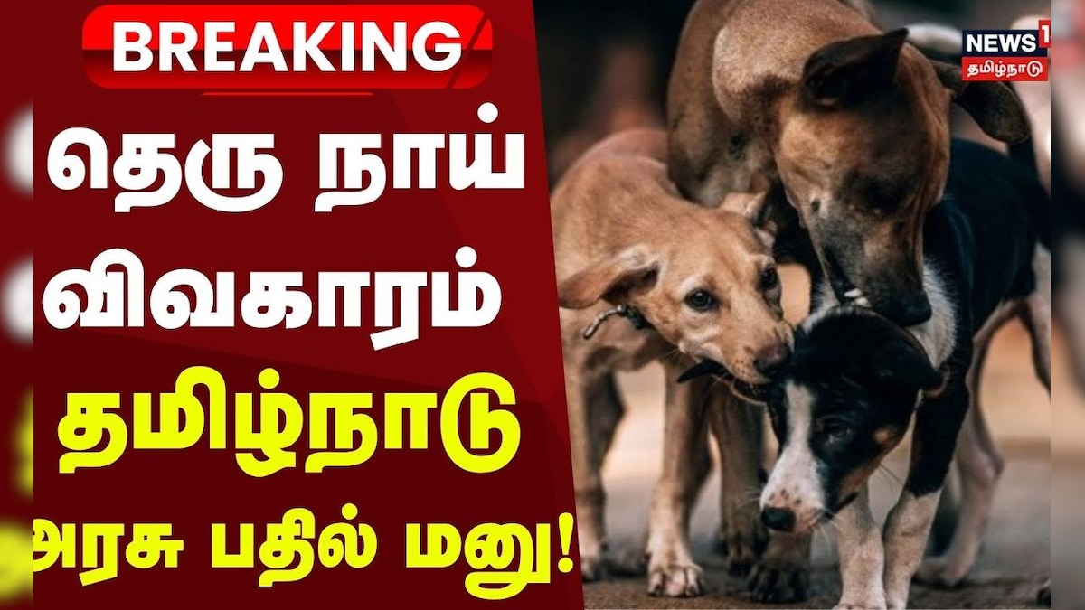 Street Dog Issue | தெரு நாய் விவகாரம் - தமிழ்நாடு அரசு பதில் மனு! | Breaking | தமிழ்நாடு - News18 தமிழ்