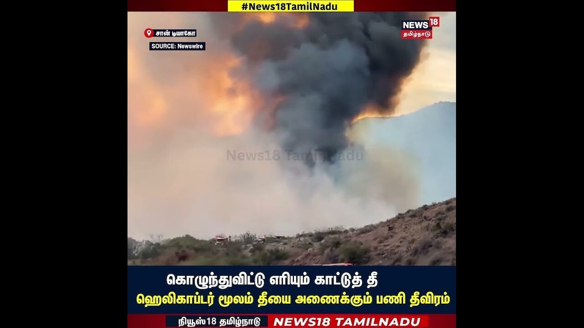 Forest Fire | கொழுந்துவிட்டு எரியும் காட்டுத் தீஹெலிகாப்டர் மூலம் தீயை அணைக்கும் பணி தீவிரம் | N18G | தமிழ்நாடு - News18 தமிழ்