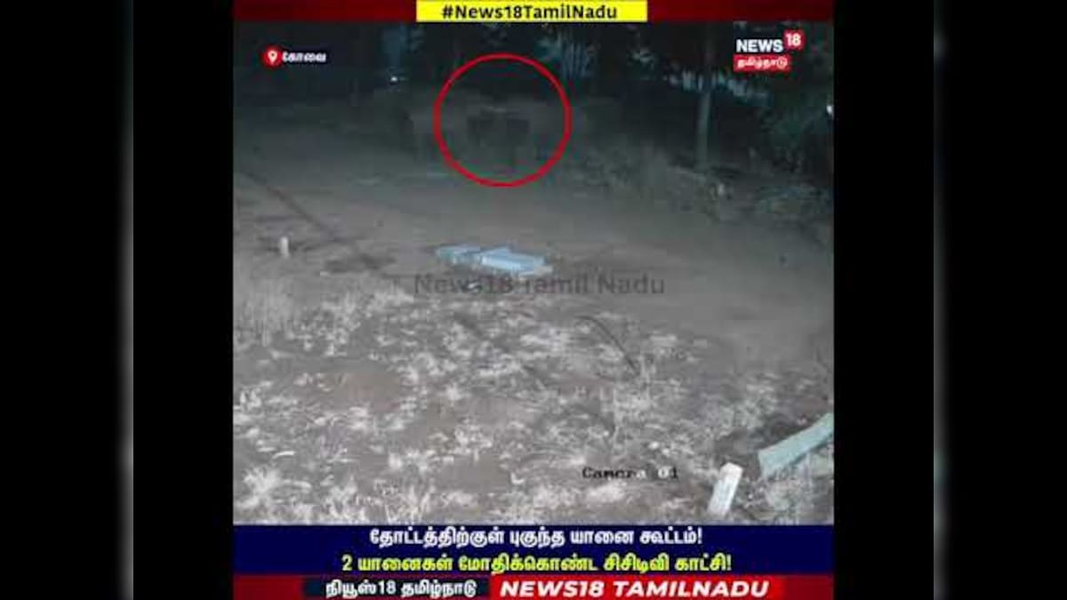 Elephant | தோட்டத்திற்குள் புகுந்த யானை கூட்டம்! 2 யானைகள் மோதிக்கொண்ட சிசிடிவி காட்சி! | N18S | தமிழ்நாடு - News18 தமிழ்