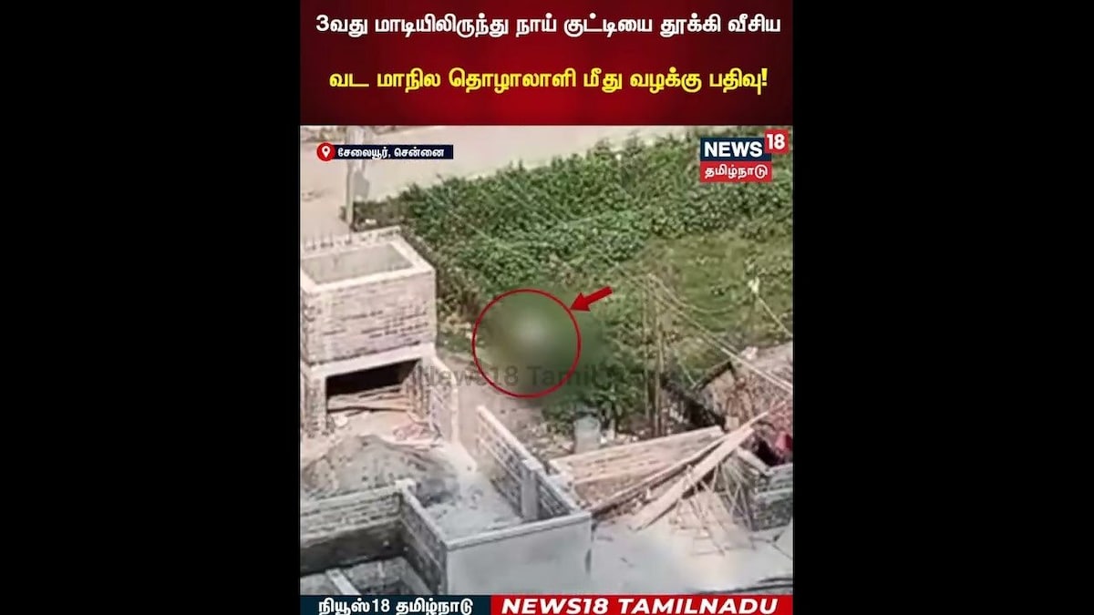 Pet Dog | 3வது மாடியிலிருந்து நாய் குட்டியை தூக்கி வீசிய வட மாநில தொழாலாளி மீது வழக்கு பதிவு! | N18S