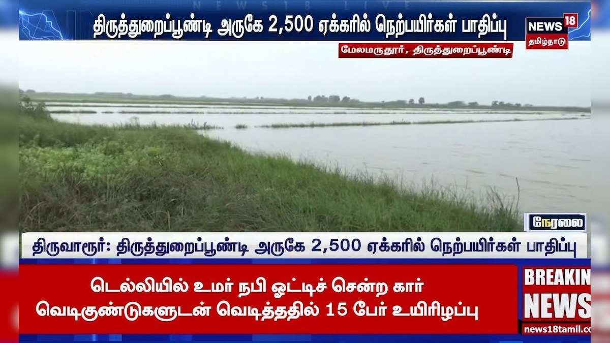 Tirupathuraipoondi | திருத்துறைப்பூண்டி அருகே 2,500 ஏக்கரில் நெற்பயிர்கள் பாதிப்ட | Crops Damage