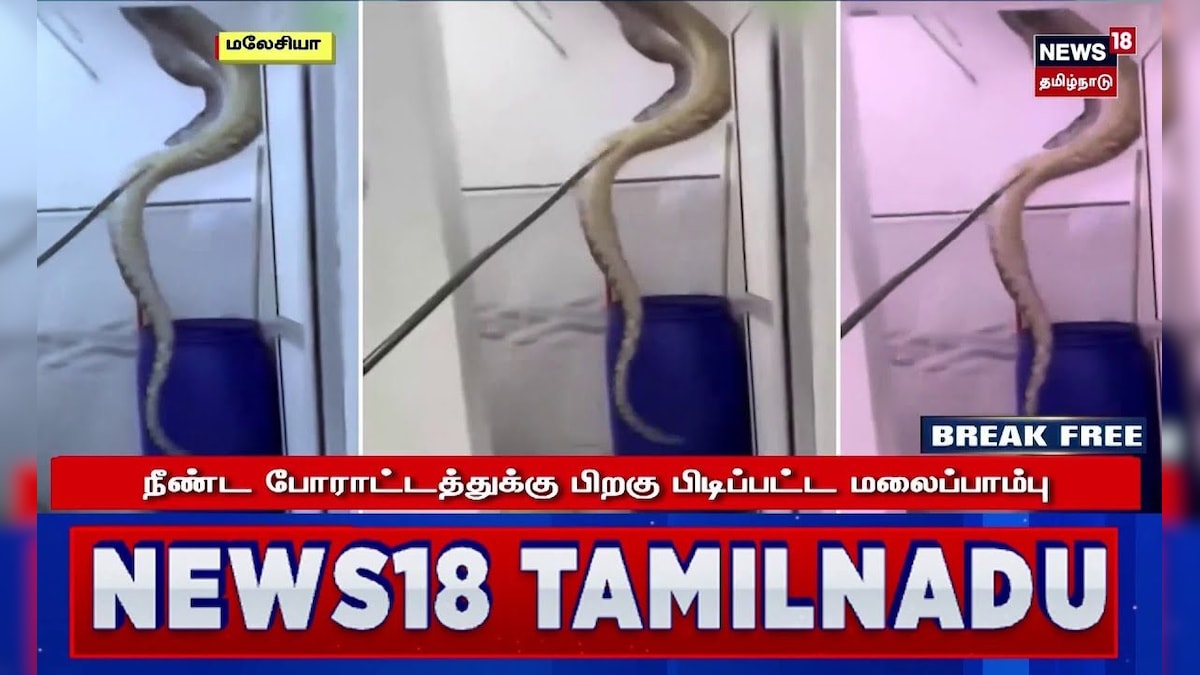 Huge Snake | வீட்டின் கழிவறைக்குள் பதுங்கிய 60 கிலோ எடை கொண்ட ராட்சத மலைப்பாம்பு! | Shocking