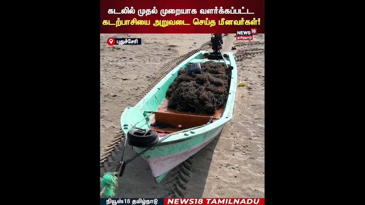 Pondicherry Sea Algae | கடலில் முதல் முறையாக வளர்க்கப்பட்ட கடற்பாசியை அறுவடை செய்த மீனவர்கள்! | N18S