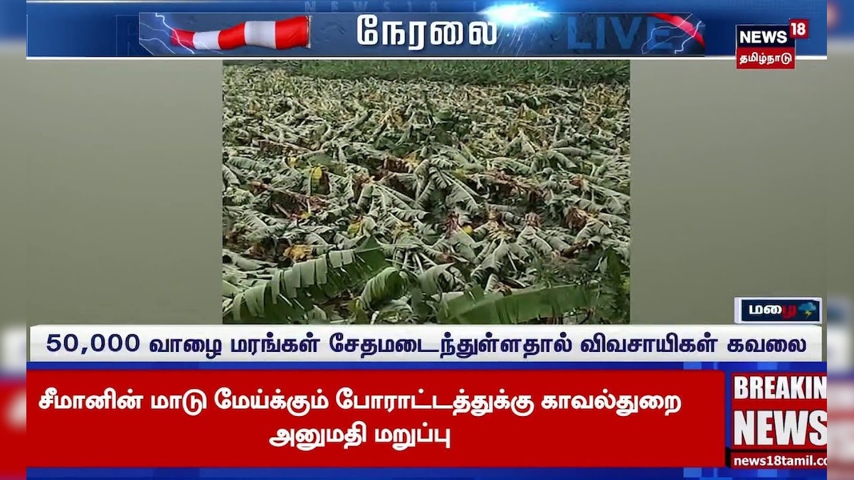 Nelllai | 50,000 வாழை மரங்கள் சேதமடைந்துள்ளதால் விவசாயிகள் கவலை | Banana Crop Damage