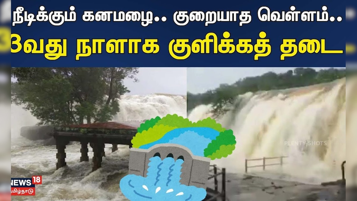 Kanyakumari | Thirparappu Falls | நீடிக்கும் கனமழை.. குறையாத வெள்ளம்.. 3வது நாளாக குளிக்கத் தடை | தமிழ்நாடு - News18 தமிழ்