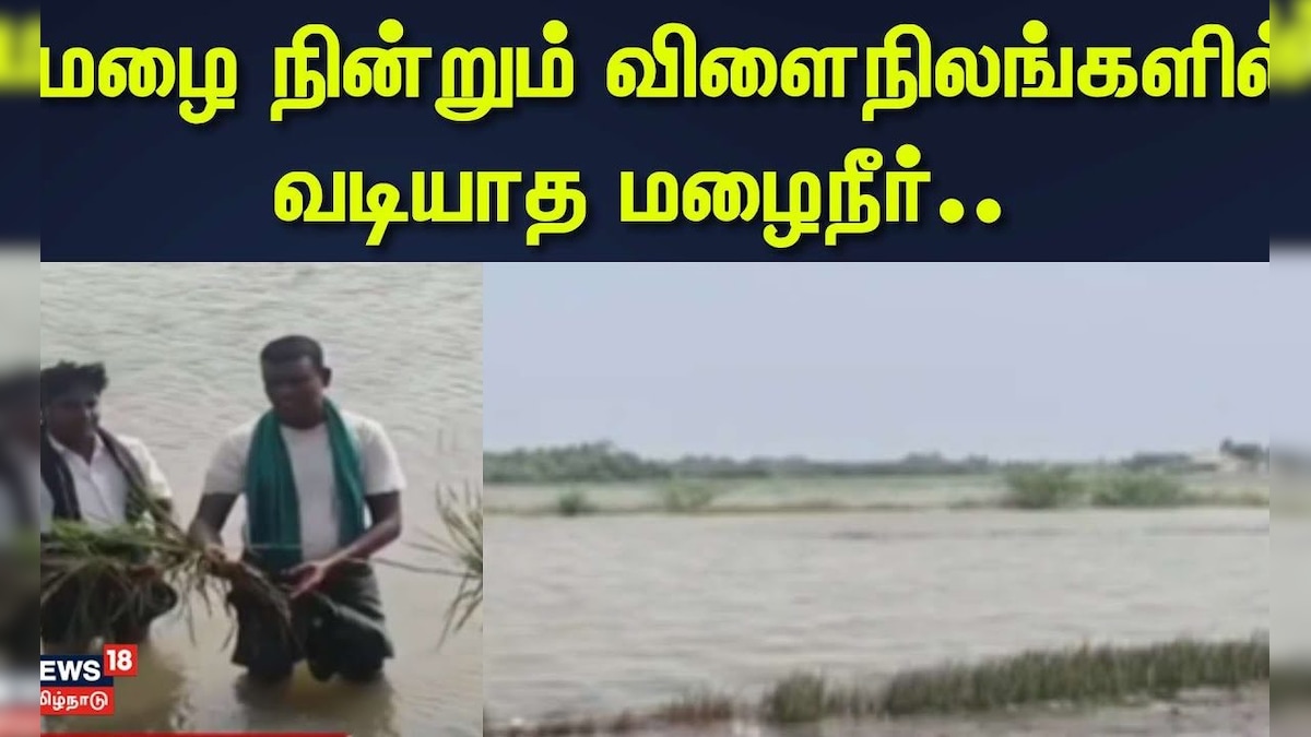 Nagapttinam | மழை நின்றும் விளைநிலங்களில் வடியாத மழைநீர்.. விவசாயிகள் கவலை | Heavy Rain | தமிழ்நாடு - News18 தமிழ்