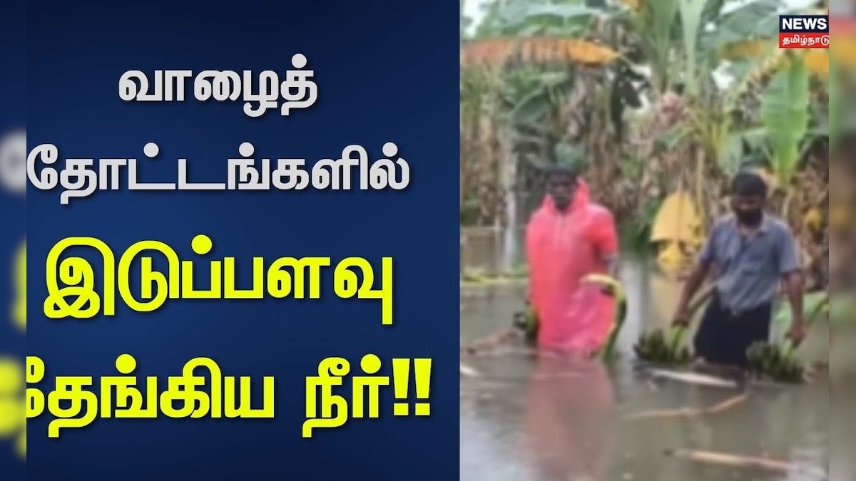 Banana Farms Flooded in Tamil Nadu | வாழைத்தோட்டங்களில் இடுப்பளவு தேங்கிய நீர் | Cyclone Ditwah | தமிழ்நாடு - News18 தமிழ்