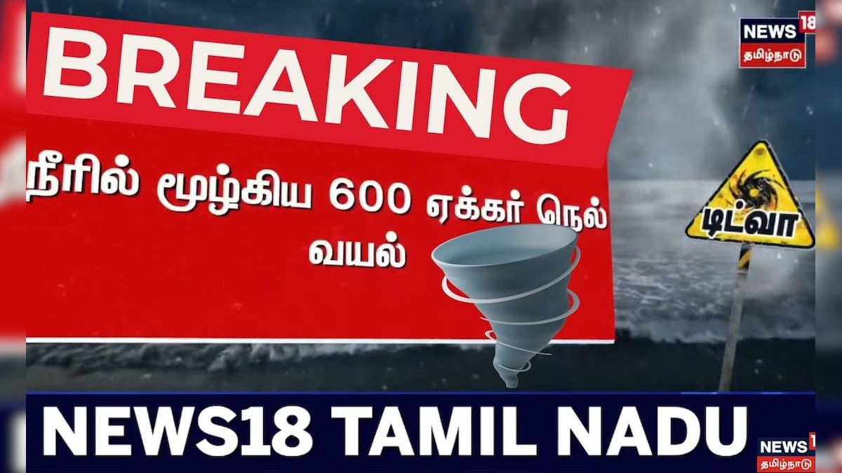 Cuddalore Flood | 600 ஏக்கர் நெல் வயல் நீரில் மூழ்கியது | Tamil Nadu Heavy Rain Update | தமிழ்நாடு - News18 தமிழ்
