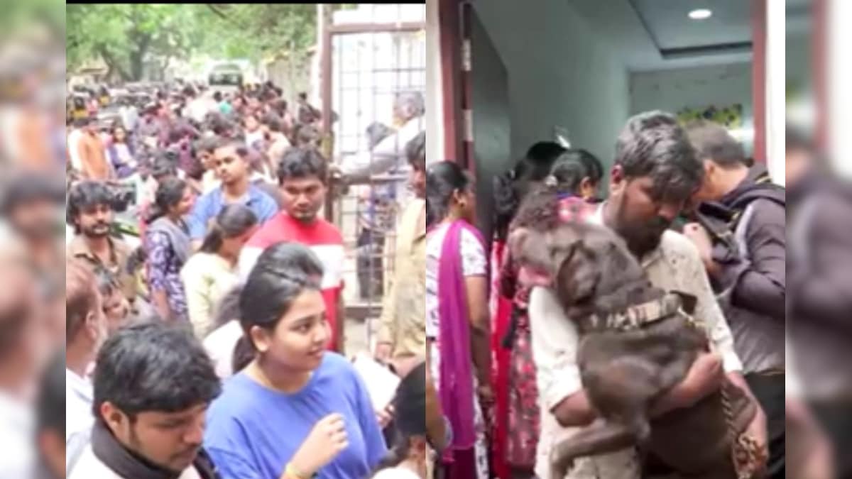 இதுவரை 10,820 செல்லப்பிராணிகளுக்கு உரிமம் வழங்கப்பட்டுள்ளது - சென்னை மாநகராட்சி | சென்னை - News18 தமிழ்