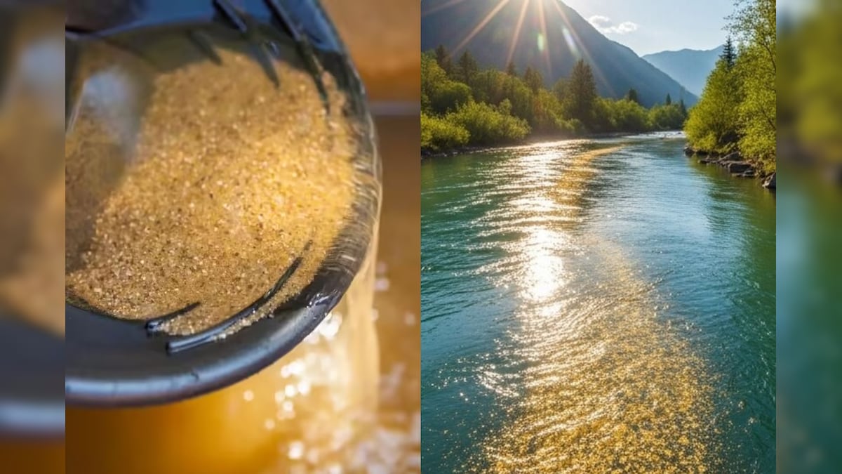 Gold | இந்த 4 நாடுகளின் நதிகளில் தங்கம் பாய்கிறது.. இதில் 2 நதி இந்தியாவில் உள்ளது.. எந்த நதி தெரியுமா? | ட்ரெண்டிங் - News18 தமிழ்