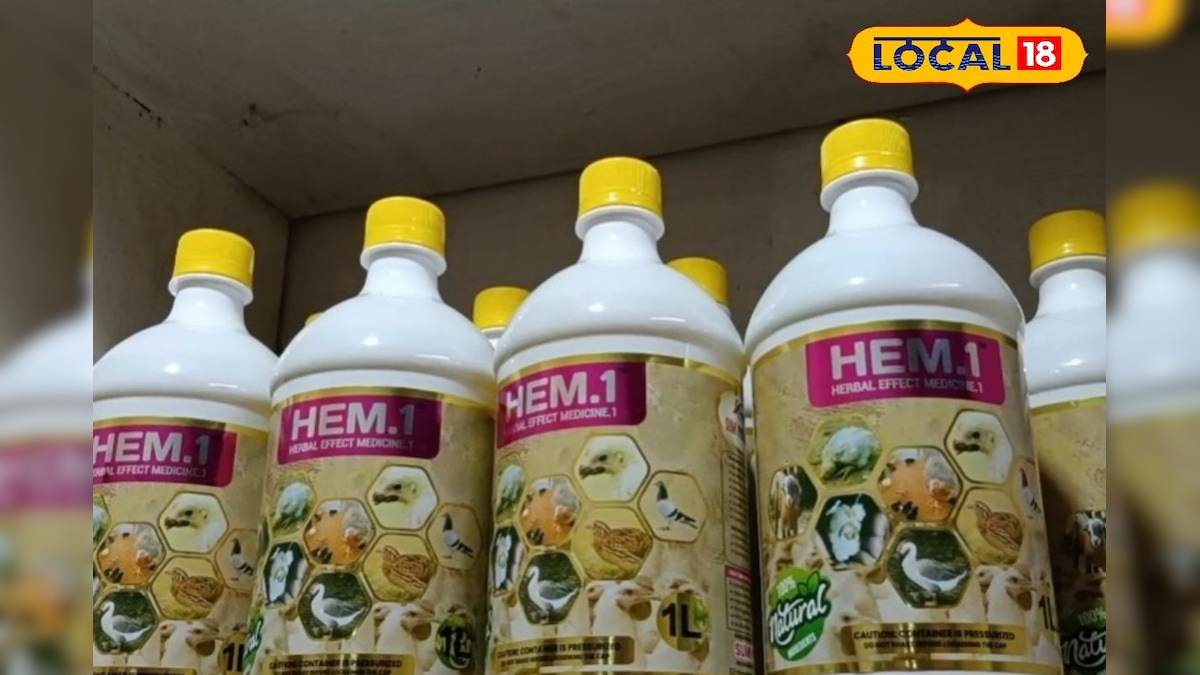 நாட்டுக்கோழி வளர்ப்பில் இனி நோய் பயம் இல்லை... நோய் தாக்காமல் தடுக்கும் இயற்கை மருந்து... | மயிலாடுதுறை - News18 தமிழ்