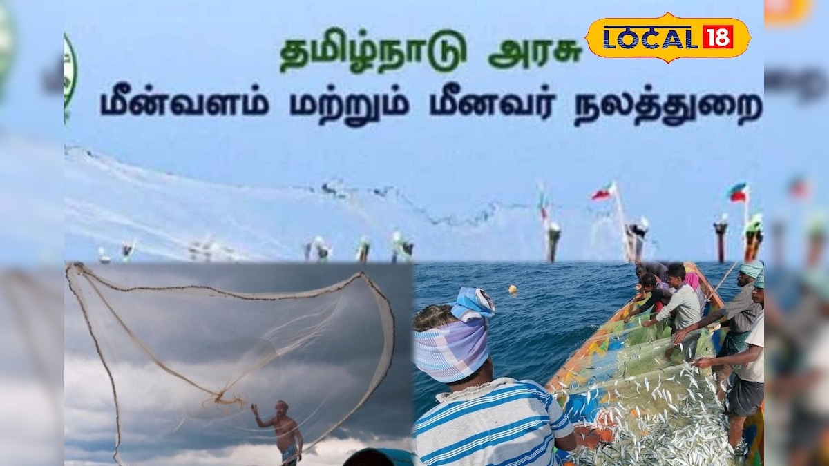 தமிழ்ல எழுத படிக்க தெரிஞ்சா போதும்.. மீன்வளத் துறையில வேலை வாய்ப்பு... விண்ணப்பிக்கும் முழு விவரம் இதோ ! | வேலைவாய்ப்பு - News18 தமிழ்