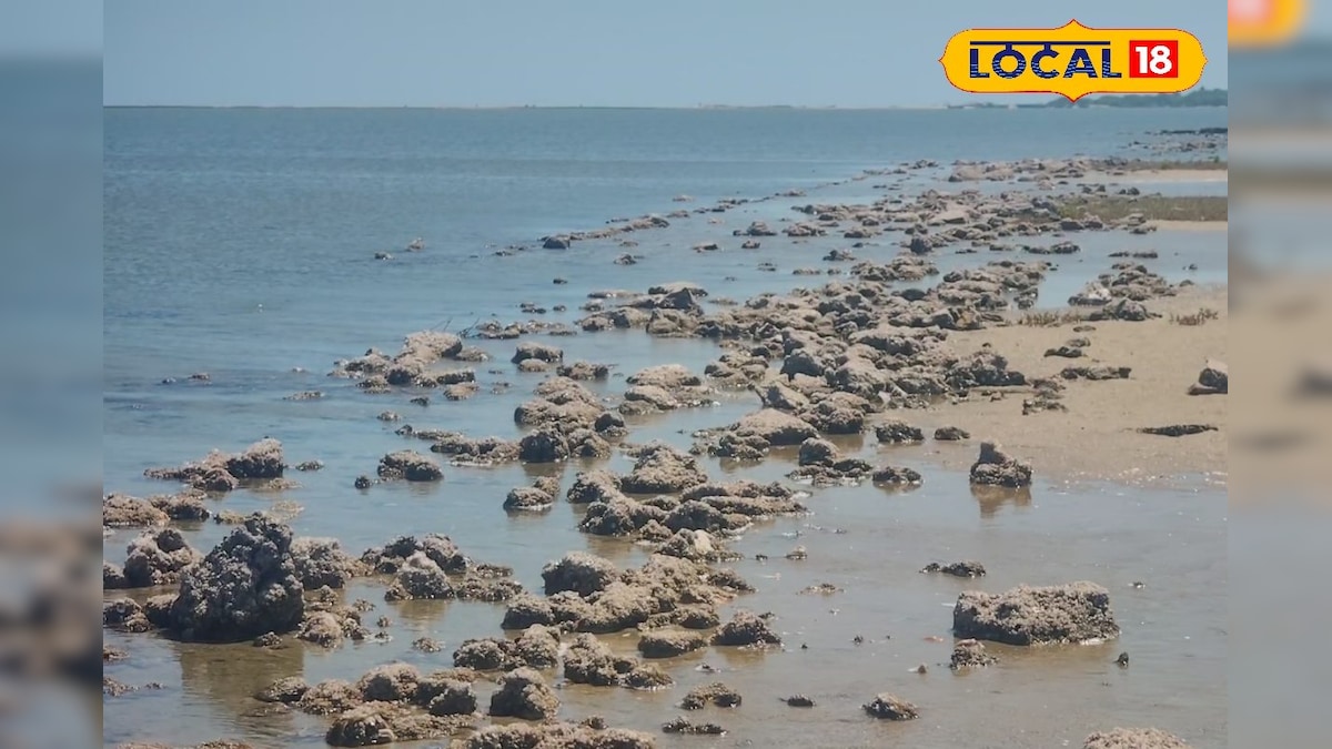 1964 தனுஷ்கோடி ரயில் தடம்.... மீண்டும் வெளியில் தெரிந்ததால் பொதுமக்கள் மகிழ்ச்சி ! | ராமநாதபுரம் - News18 தமிழ்