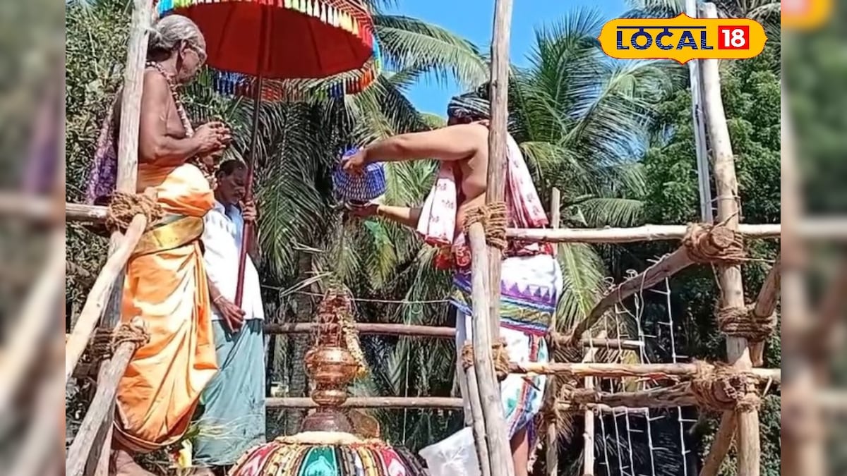 மயிலாடுதுறை மங்கைமடம் யோகநாத சுவாமி கோவில் கும்பாபிஷேகம்... திரளான பக்தர்கள் தரிசனம்... | மயிலாடுதுறை - News18 தமிழ்