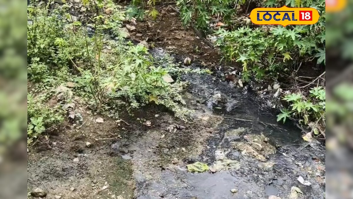 40 ஆண்டுகளாக கிடப்பில் சுப்பன்கால்வாய் திட்டம் - விரைந்து செயல்படுத்த கோரிக்கை... | விவசாயம் - News18 தமிழ்