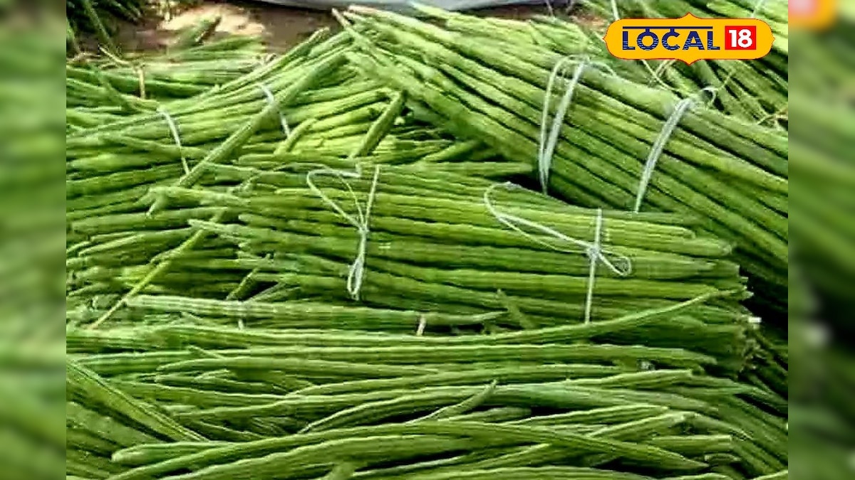 வரத்து குறைவால் கிடுகிடுவென உயர்ந்த முருங்கைக்காய் விலை... அதிர்ச்சியில் இல்லத்தரசிகள் ! | சேலம் - News18 தமிழ்