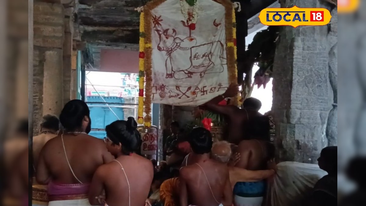 காவிரிக்கு நிகரான துலா கட்டத்தில் துலா உற்சவம்... கோலாகலமாக நடந்த கொடியேற்றம்... | மயிலாடுதுறை - News18 தமிழ்