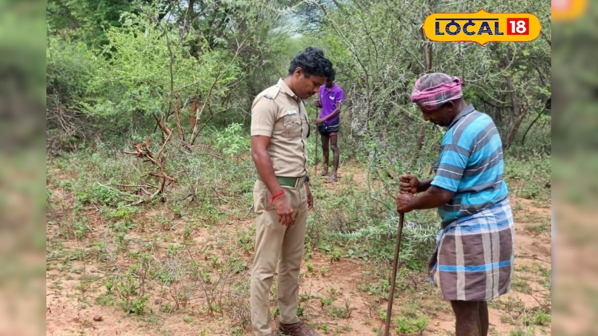 மனித-வனவிலங்கு மோதலை தடுக்க வனத்துறையினர் புதிய முயற்சி..! | தென்காசி - News18 தமிழ்