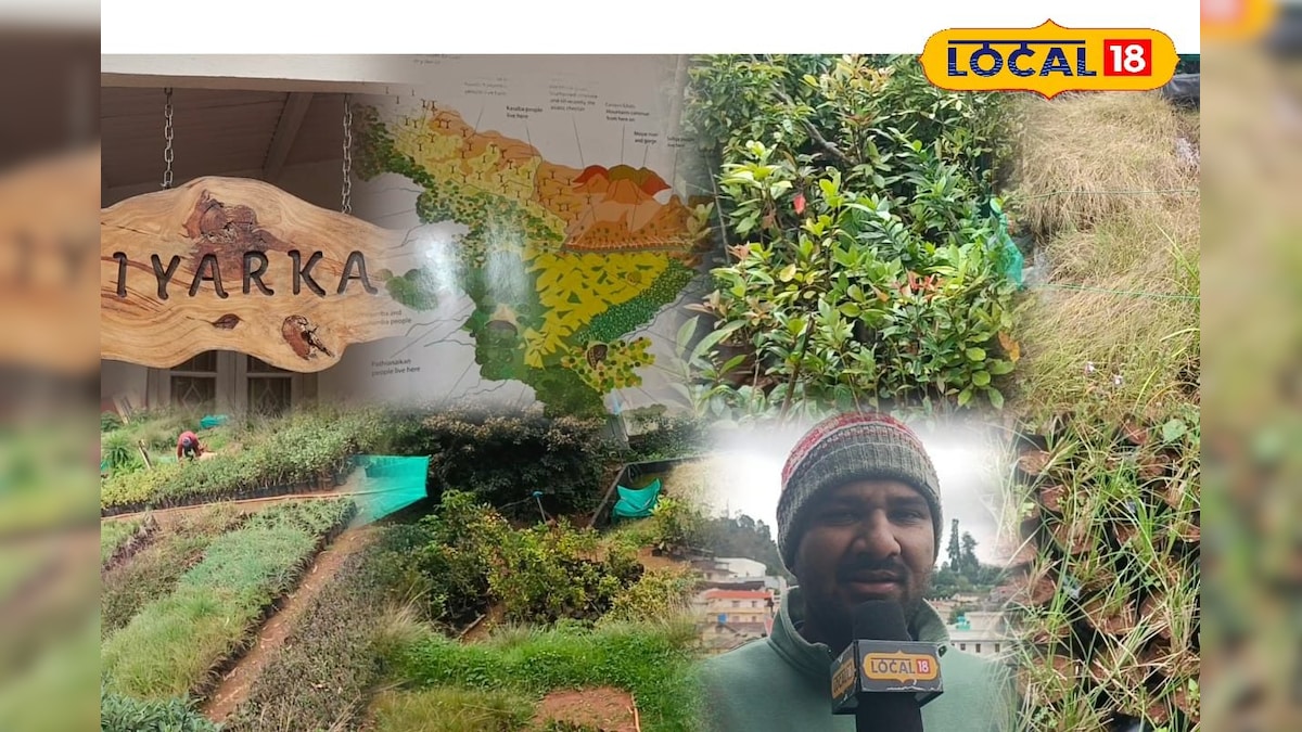 நீலகிரியில் அழியும் பாரம்பரிய மரங்கள்... சோலைக் காடுகளைக் காக்க போராடும் இளைஞர்... | நீலகிரி - News18 தமிழ்