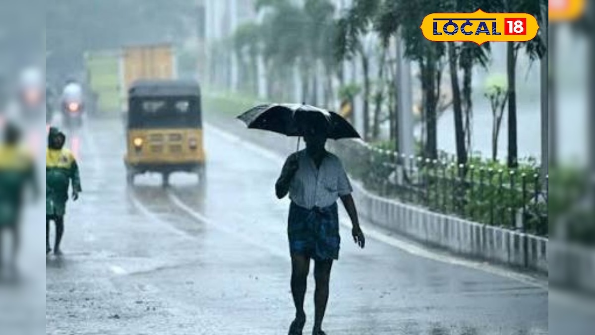 மயிலாடுதுறை மாவட்டத்தில் கனமழை... கட்டுப்பாட்டு அறை எண்களை வெளியிட்ட ஆட்சியர்... | மயிலாடுதுறை - News18 தமிழ்