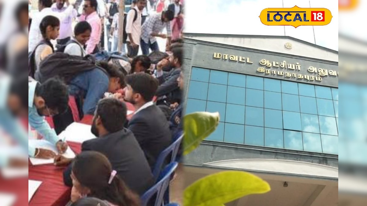 இளைஞர்களுக்கான அறிவிப்பு... 1000 முன்னணி நிறுவனங்கள் பங்கேற்கும் வேலைவாய்ப்பு முகாம் ! | ராமநாதபுரம் - News18 தமிழ்