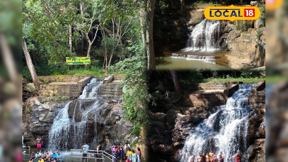 குற்றால அருவிக்கே டஃப் கொடுக்கும் மலையருவி... எங்க இருக்குன்னு தெரியுமா மக்களே ? | லைஃப்ஸ்டைல் - News18 தமிழ்