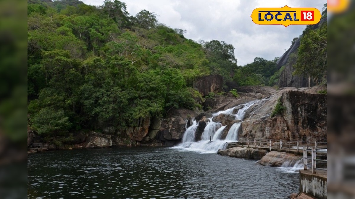 Weekend Update : மணிமுத்தாறு, களக்காடு தலையணையில் குளிக்க தடை ! | திருநெல்வேலி - News18 தமிழ்