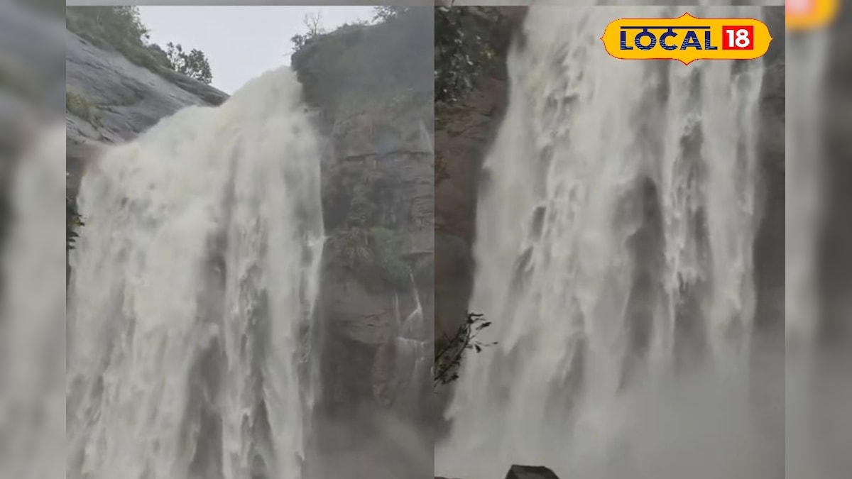 கொல்லிமலை செல்ல சுற்றுலாப் பயணிகளுக்கு தடை... வனத்துறை வெளியிட்ட அறிவிப்பு... | பயணம் - News18 தமிழ்