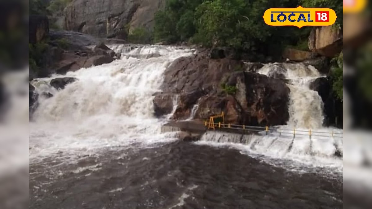 அந்த பக்கம் மட்டும் போயிடாதீங்க சார்...  மணிமுத்தாறு அருவியில் காட்டாற்று வெள்ளம்.. ! | திருநெல்வேலி - News18 தமிழ்